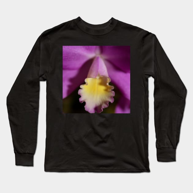 Purple & Lemon Orchid Long Sleeve T-Shirt by Carole-Anne